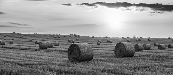 Strohballen auf abgeerntetem Feld