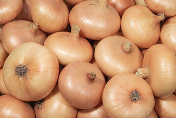 Organic raw onions as a background