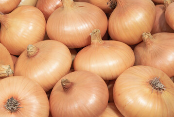 Onions with brown peel close up