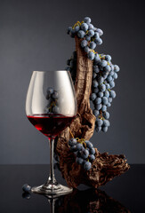 Glass of red wine with a weathered snag and blue grapes.
