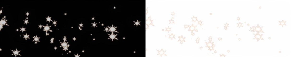 Snowflake overlay illustration with intricate designs on contrasting black and white backgrounds, creating a festive atmosphere for winter-themed projects and seasonal decorations