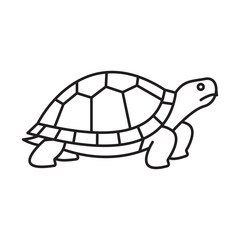 Turtle line drawing illustration animal reptile shell legs design simple vector pet wildlife nature cartoon icon art