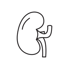 Kidney Anatomy Diagram Human Body Organ Illustration for Medical Study Renal System Health Education Urology Nephrology