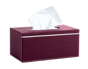 Maroon rectangular box with tissues sticking out, textured exterior, white stitching details