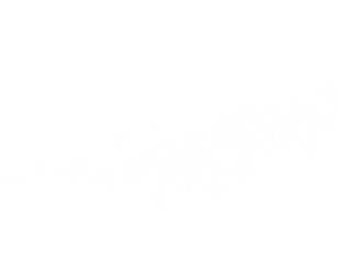 A black backdrop with scattered white starburst-like shapes in a curved pattern