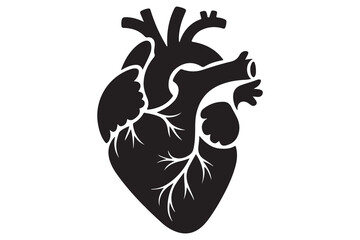 Human heart silhouette icon illustration in black color isolated on white background
