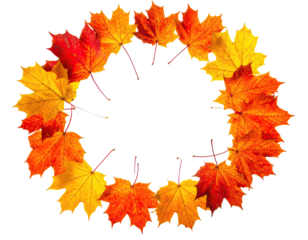 A circular wreath of vibrant autumn leaves, showcasing red, orange, and yellow colors