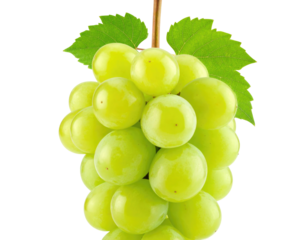 A close-up of a cluster of bright green grapes, with fresh leaves attached