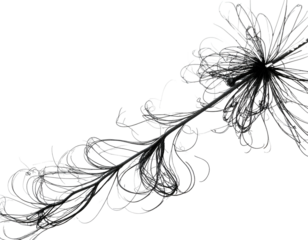 A gray abstract botanical form with a central sphere and radiating, curving lines