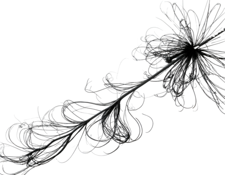 A gray abstract botanical form with a central sphere and radiating, curving lines