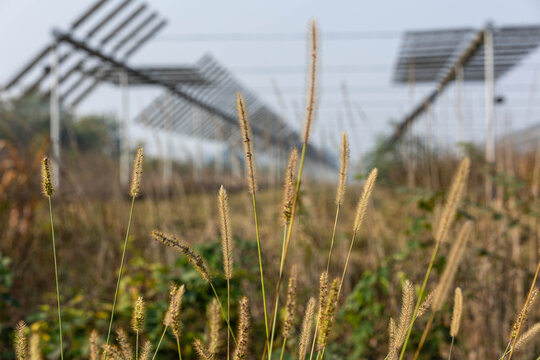 Agrivoltaics