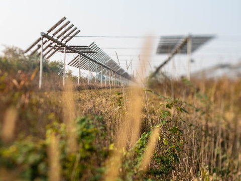 Agrivoltaics