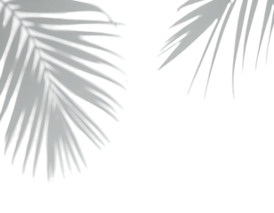 Two stylized grayscale palm leaves with intricate shadows against a stark black background