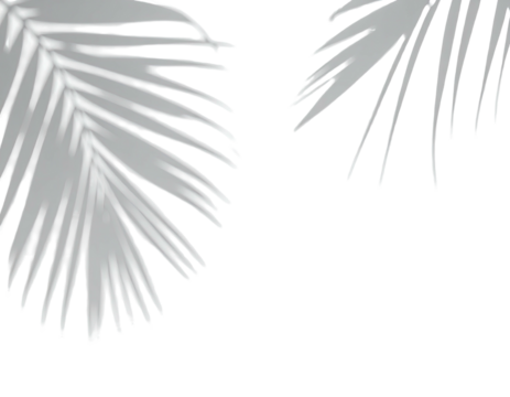Two stylized grayscale palm leaves with intricate shadows against a stark black background
