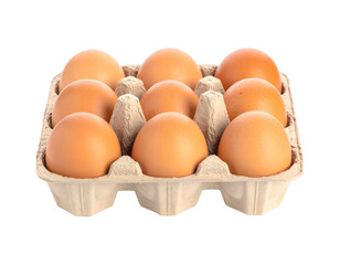 Close-up studio shot of nine brown eggs neatly arranged in a cardboard egg carton