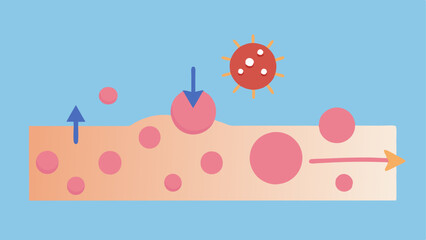 Animation of Distribution An animatedstyle illustration where arrows depict the movement of nanoparticles across the skin surface indicating active ingredient diffusion.