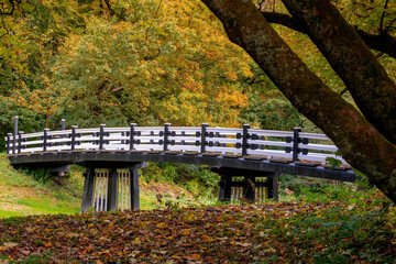 Naklejka premium Autumn landscape, White wooden bridge with colourful yellow orange leaves on the trees and warm sunlight, Amsterdamse Bos (Forest) Park in the municipalities of Amstelveen and Amsterdam, Netherlands.
