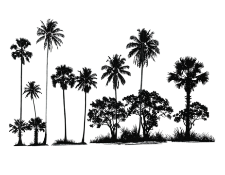 Silhouette of various tall palm trees against a stark, black background