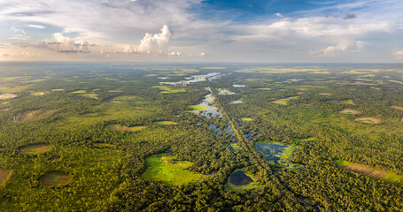 Florida wetlands with water between green wild vegetation. Tropical ecosystem at sunset