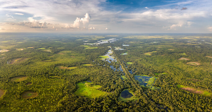 Florida wetlands with water between green wild vegetation. Tropical ecosystem at sunset