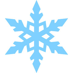 Winter Snowflake Element