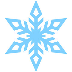 Winter Snowflake Element