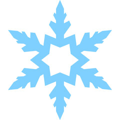 Winter Snowflake Element