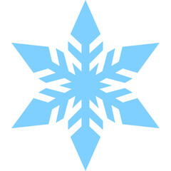 Winter Snowflake Element