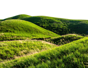 Rolling green hills, bathed in sunlight, create a serene and grassy landscape