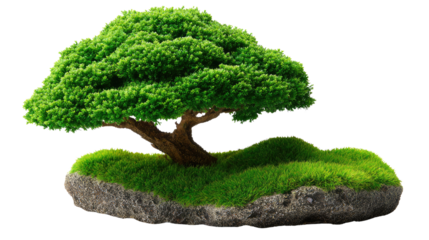 Bonsai Tree in Miniature Landscape: The miniature bonsai tree symbolizes nature, wisdom, and balance. It offers a tranquil view of a tranquil world.