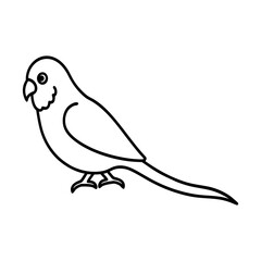 vector illustration of a parrot