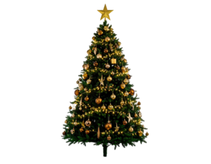 Artificial evergreen decorated with ornaments, string lights, and a star topper, isolated on black