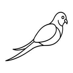 white dove isolated on white