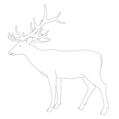 Deer with antlers in black contour outline on white background. This simple yet detailed drawing is a free printable coloring page for kids.
