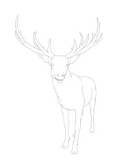 Deer contour line art with detailed antlers on a white background. This free printable coloring page provides a fun and creative activity for children.