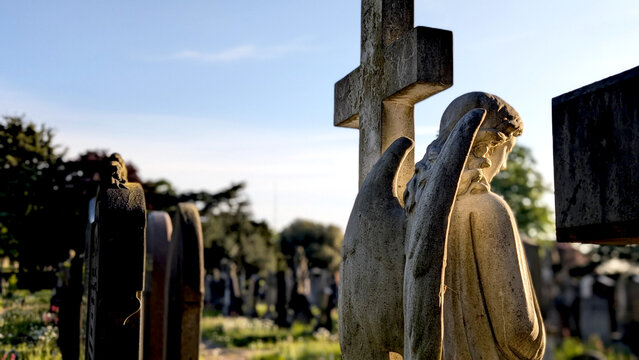 Back view of a stone angel statue and religious cross in an old cemetery bathed in warm afternoon sunlight, suggesting concepts of peace, history, or spirituality