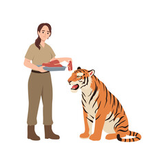 Zookeeper Feeding Tiger with Raw Meat. Flat vector illustration isolated on white background