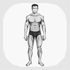 Male human body belonging to an adult man