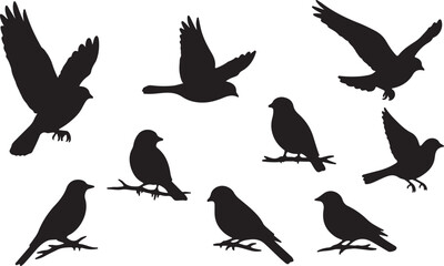 Obraz premium Bird Silhouette Vector Set Flying and Perched Birds Black Silhouettes Collection.