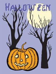 Halloween greeting card, pumpkin lantern, trees silhouettes, moonlit night, text, vector illustration