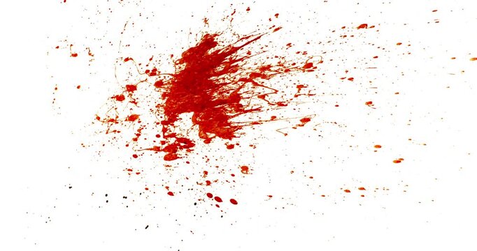 Blood Splash in Super Slow Motion. Isolated on White Background. High-Speed Cinematic Shot of Blood Droplets Forming Abstract Stain.