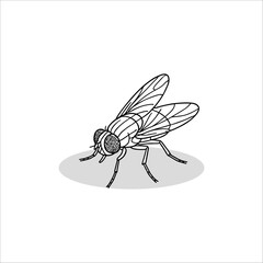  fly artwork vector illustration handmade