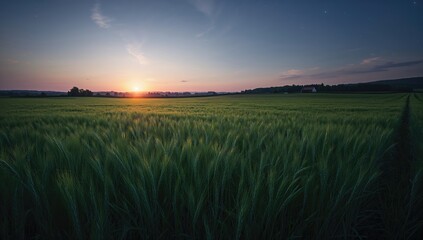 At dusk, young green wheat stretches across a countryside landscape, created with generative AI tools