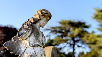Profile view of an aged, weathered stone angel statue looking down, set against a clear blue sky...
