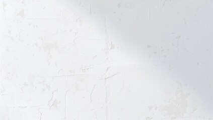 White Wall Background for Creative Design