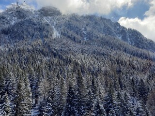 winter mountain trip. Landscape shot at the top of austrian alps. Beautiful winter austrian alps landscape. Dense forest aerial view in winter. a beautiful Scenery with mountain, sky, tree and Snow