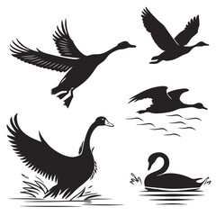 Collection of black silhouette waterfowl including geese and swans in various poses such as flying and swimming on white background