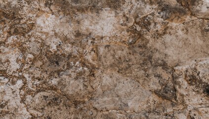 Highly detailed rocky wall texture featuring grasses, earthy tones, and a mix of marble and granite elements