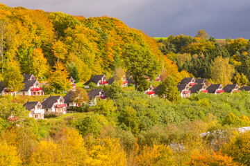 Great view on park in autumn season, yellow, red,green foliage. Beauty of wild nature theme Kircheim, Hesse, Germany