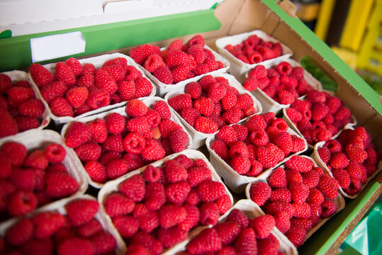 Fresh Ripe Raspberries in Small Wooden Market Boxes